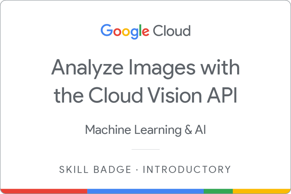 Image Classification API project certificate